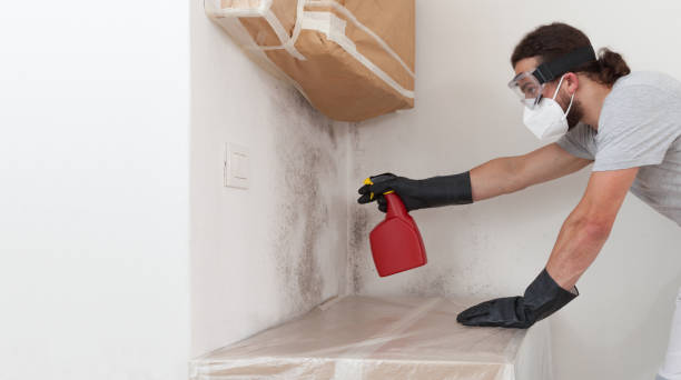 Professional Mold Removal technician working in Merrick, NY